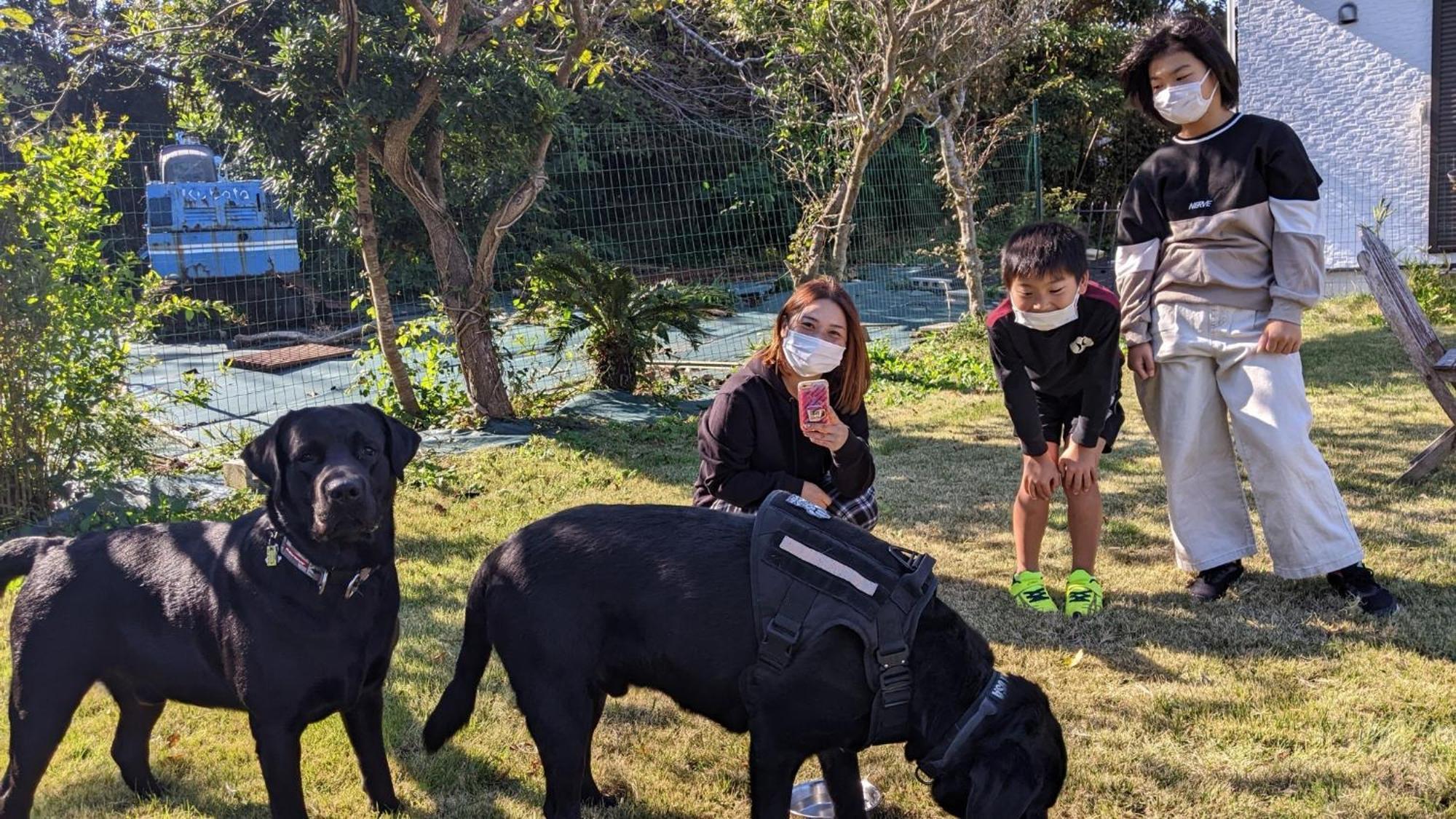 Pension Alba - Vacation Stay 70965V ทาเตยามะ ภายนอก รูปภาพ