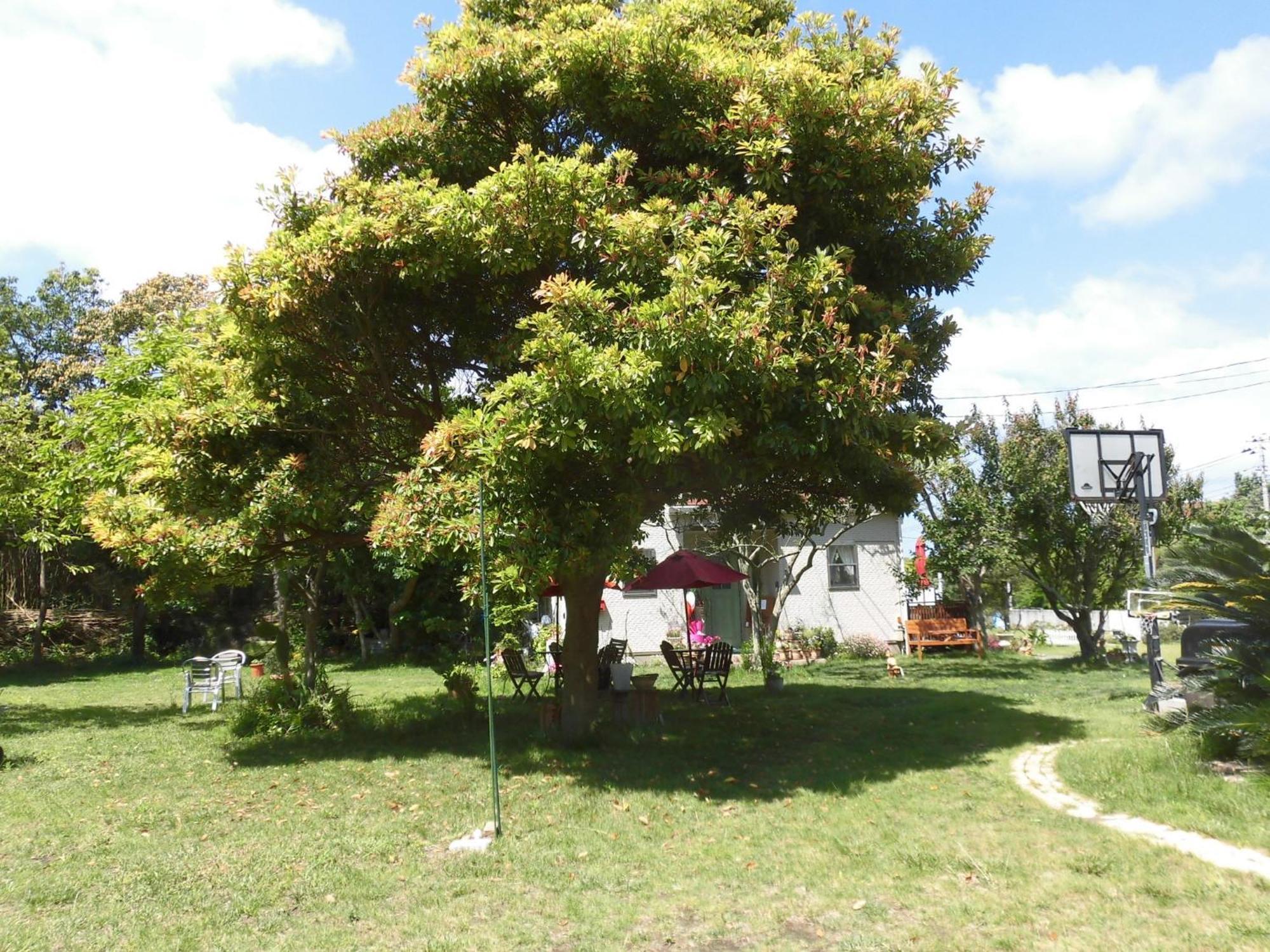 Pension Alba - Vacation Stay 70965V ทาเตยามะ ภายนอก รูปภาพ